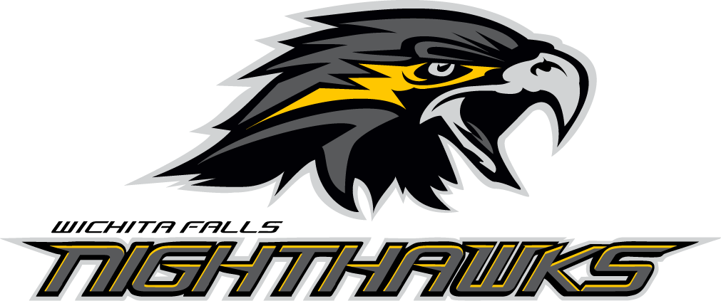 Wichita Falls Nighthawks 2015-Pres Primary Logo iron on transfers for clothing